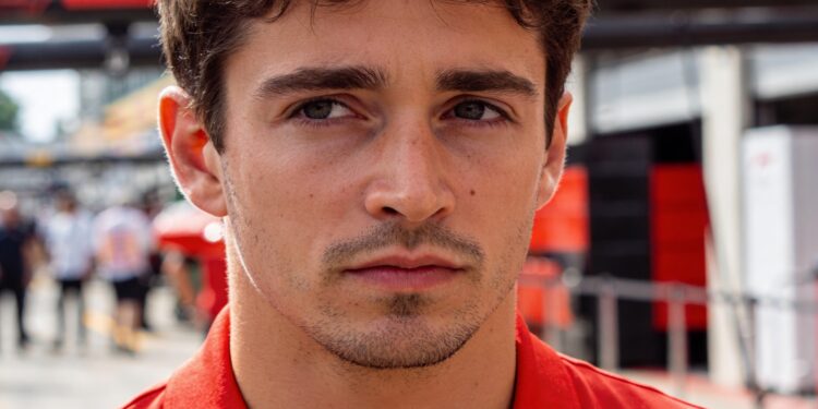 palmer leclerc kan red bull overwegen bij verstappen exit