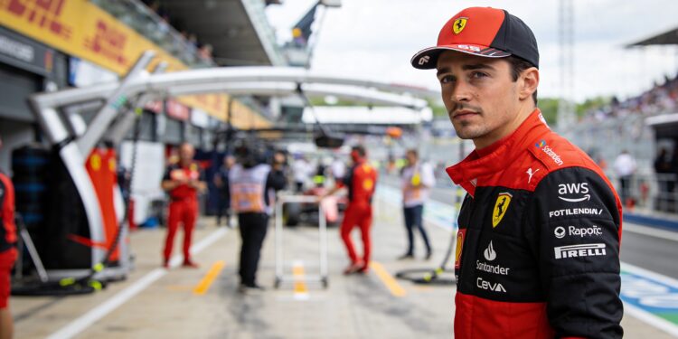 Palmer noemt Leclerc ideale vervanger van Verstappen bij Red Bull 1 palmer noemt leclerc ideale vervanger van verstapp