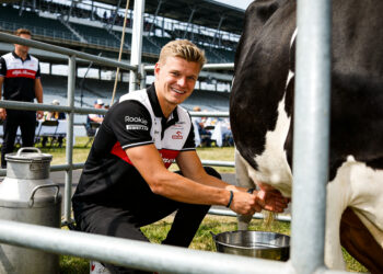 schumacher verrast met koe melken voor indy 500 de