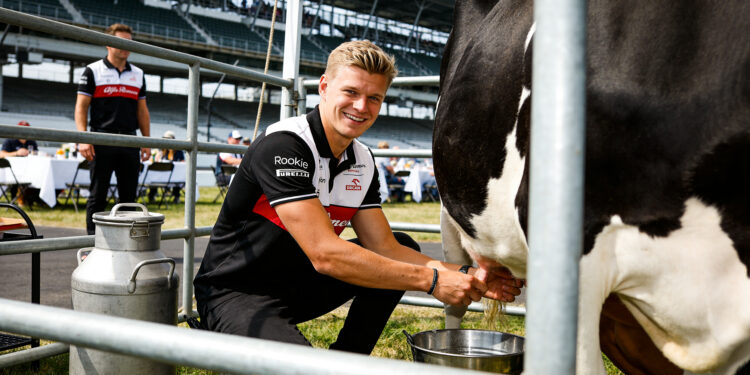 schumacher verrast met koe melken voor indy 500 de
